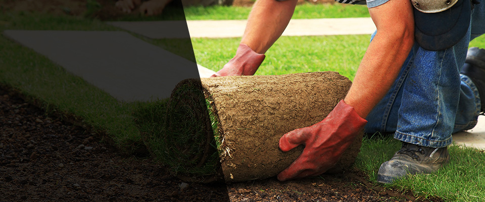Gypsum Landscapers